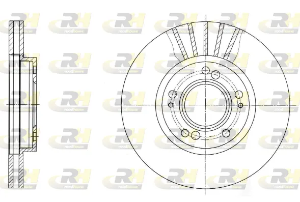 Brake Disc (61678.10)