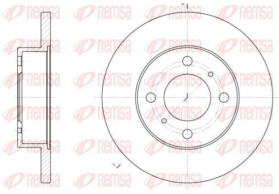 Brake Disc (61117.00)