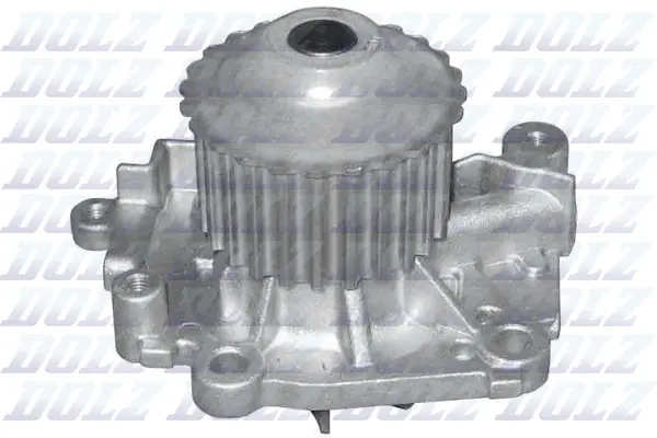 Water Pump, engine cooling (R301)