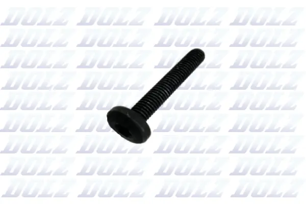 Screw (02KCP029)