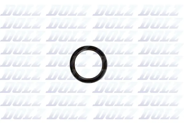 Shaft Seal, crankshaft (02KCS001)
