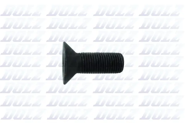 Screw (02KCP021)