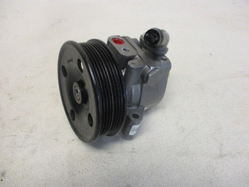 Hydraulic Pump, steering (32-76600)