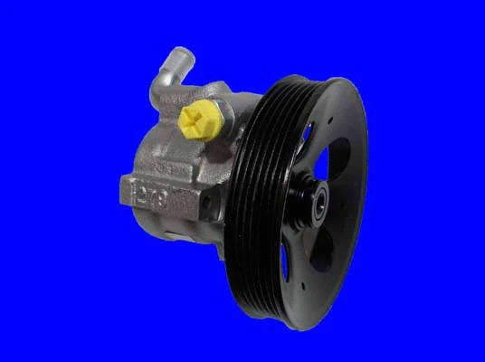 Hydraulic Pump, steering (32-79502)