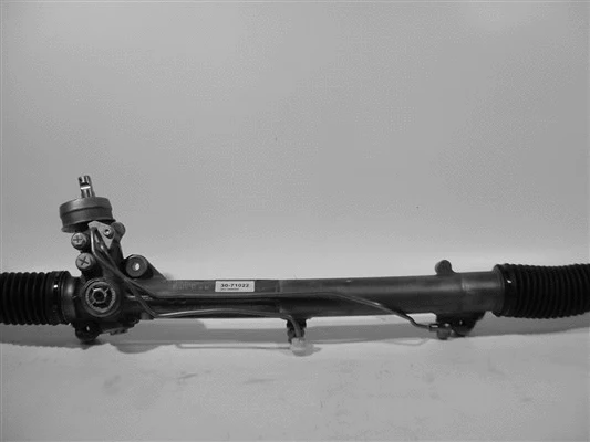 Steering Gear (30-71022)
