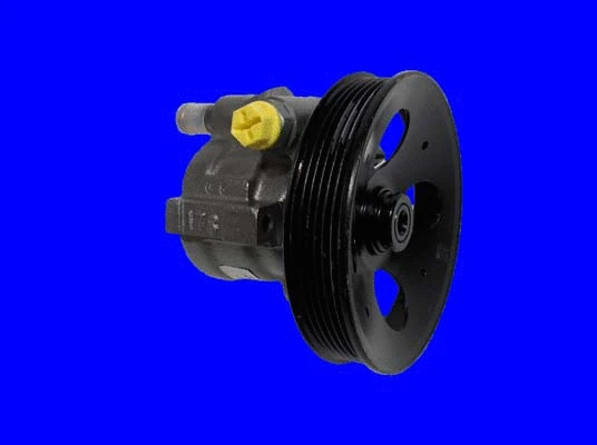 Hydraulic Pump, steering (32-79507)