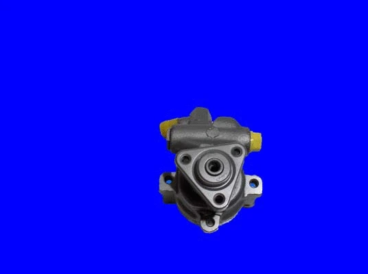 Hydraulic Pump, steering (32-76508)