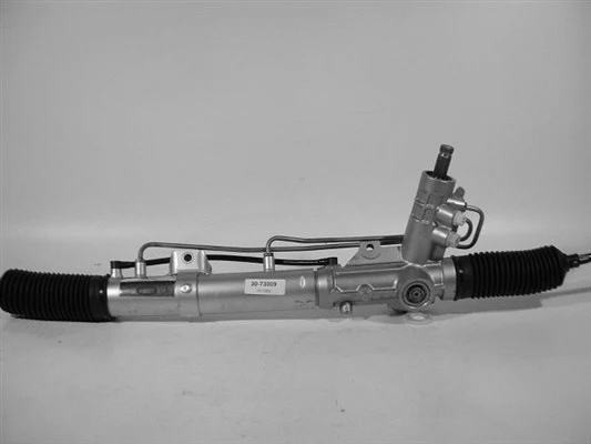 Steering Gear (30-73009)