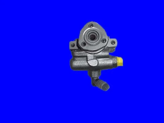 Hydraulic Pump, steering (32-76582)