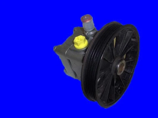 Hydraulic Pump, steering (32-84521)