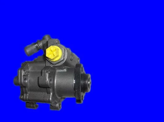 Hydraulic Pump, steering (32-73556)