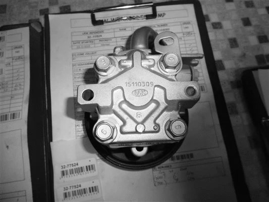 Hydraulic Pump, steering (32-77524)