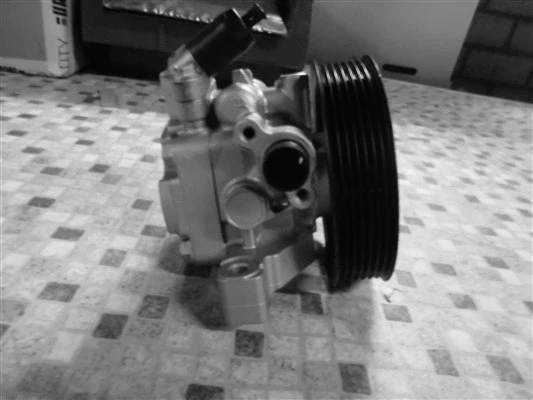 Hydraulic Pump, steering