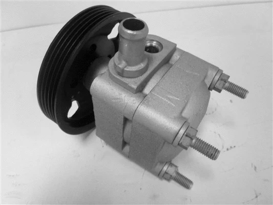 Hydraulic Pump, steering (32-84528)