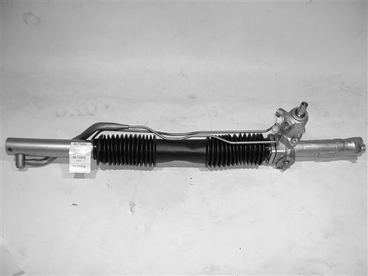 Steering Gear (30-71010)