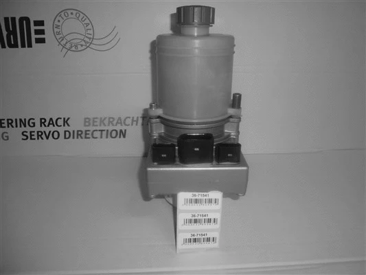 Hydraulic Pump, steering (36-71541)