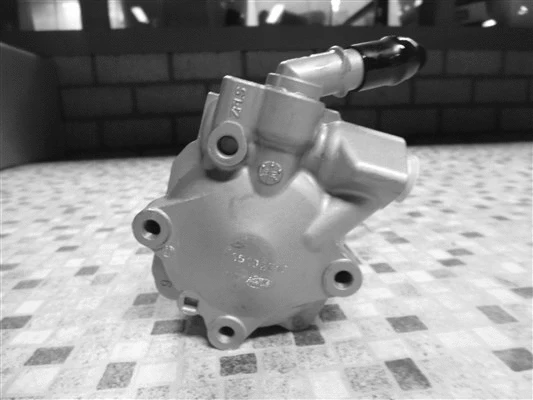 Hydraulic Pump, steering (32-71544)