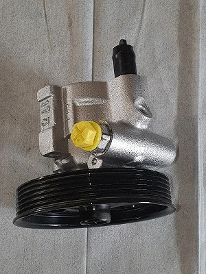Hydraulic Pump, steering (32-70506)
