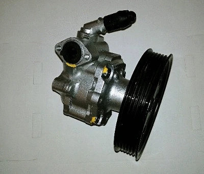 Hydraulic Pump, steering (32-71565)