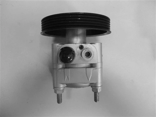 Hydraulic Pump, steering (32-84530)