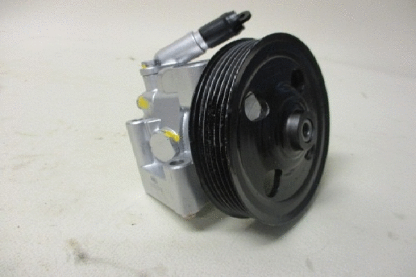 Hydraulic Pump, steering (32-76596)
