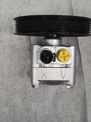 Hydraulic Pump, steering (32-84523)