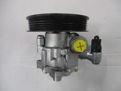 Hydraulic Pump, steering (32-89659)