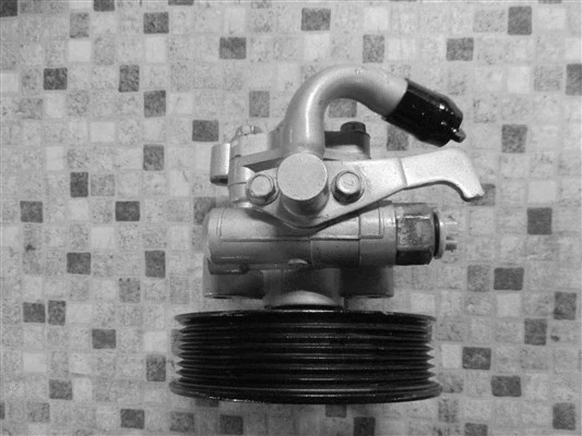Hydraulic Pump, steering
