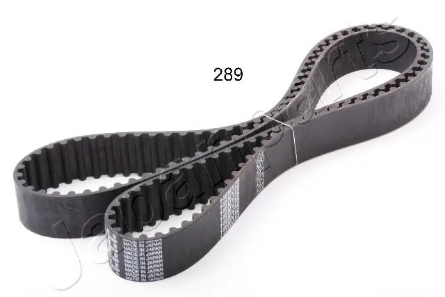Timing Belt (DD-289)