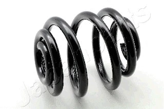Suspension Spring (ZC6743X)