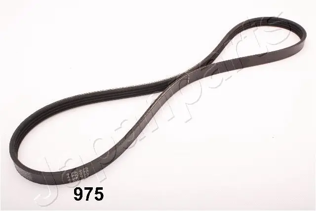 V-Ribbed Belt (TV-975)