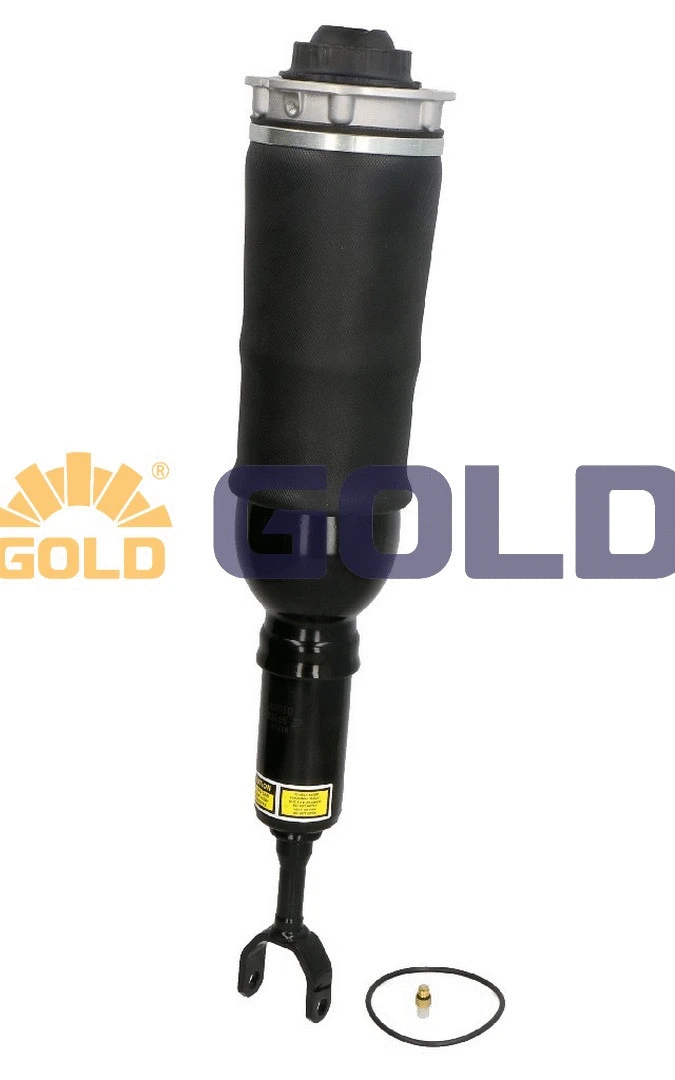 Air Suspension Strut (G680020)
