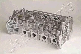 Cylinder Head (XX-NS029S)