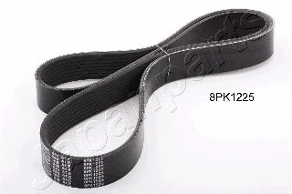 V-Ribbed Belt (DV-8PK1225)