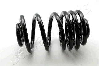 Suspension Spring (ZC6216X)