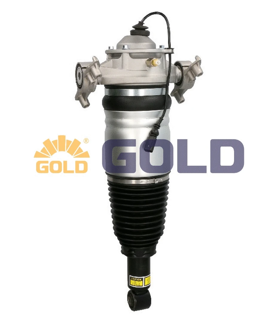 Air Suspension Strut (GAS092)