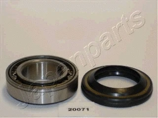 Wheel Bearing Kit (KK-20071)