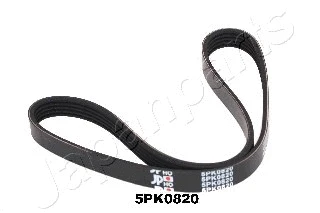 V-Ribbed Belt (DV-5PK0820)