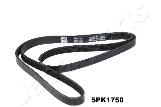 V-Ribbed Belt (DV-5PK1750)