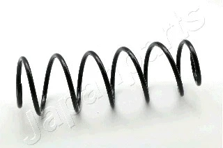 Suspension Spring (ZC2941H)
