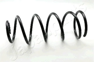Suspension Spring (ZC2131C)