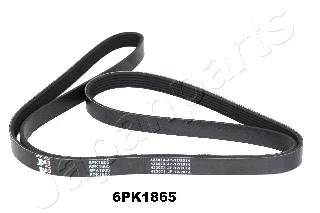V-Ribbed Belt (DV-6PK1865)
