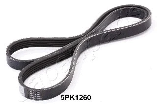 V-Ribbed Belt (DV-5PK1260)