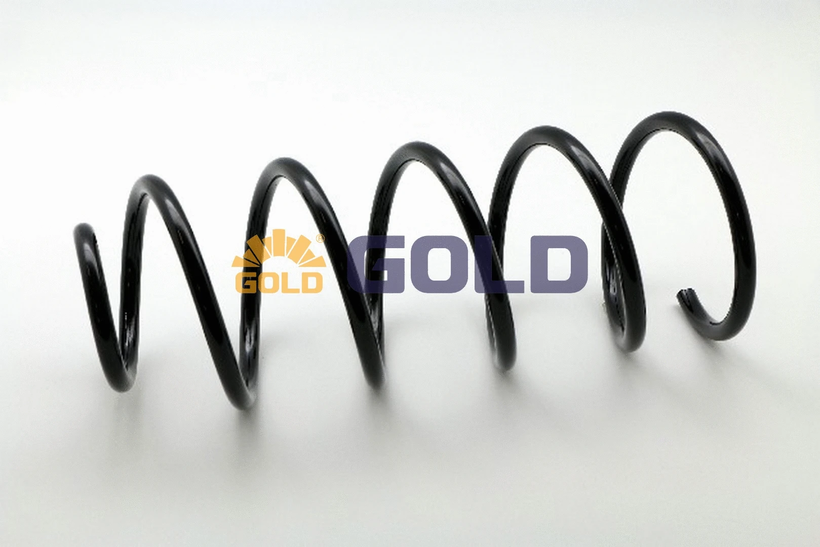 Suspension Spring (GZJ1171G)