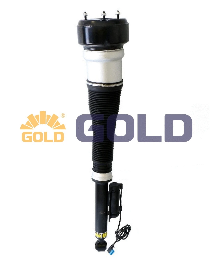 Air Suspension Strut (6160042)