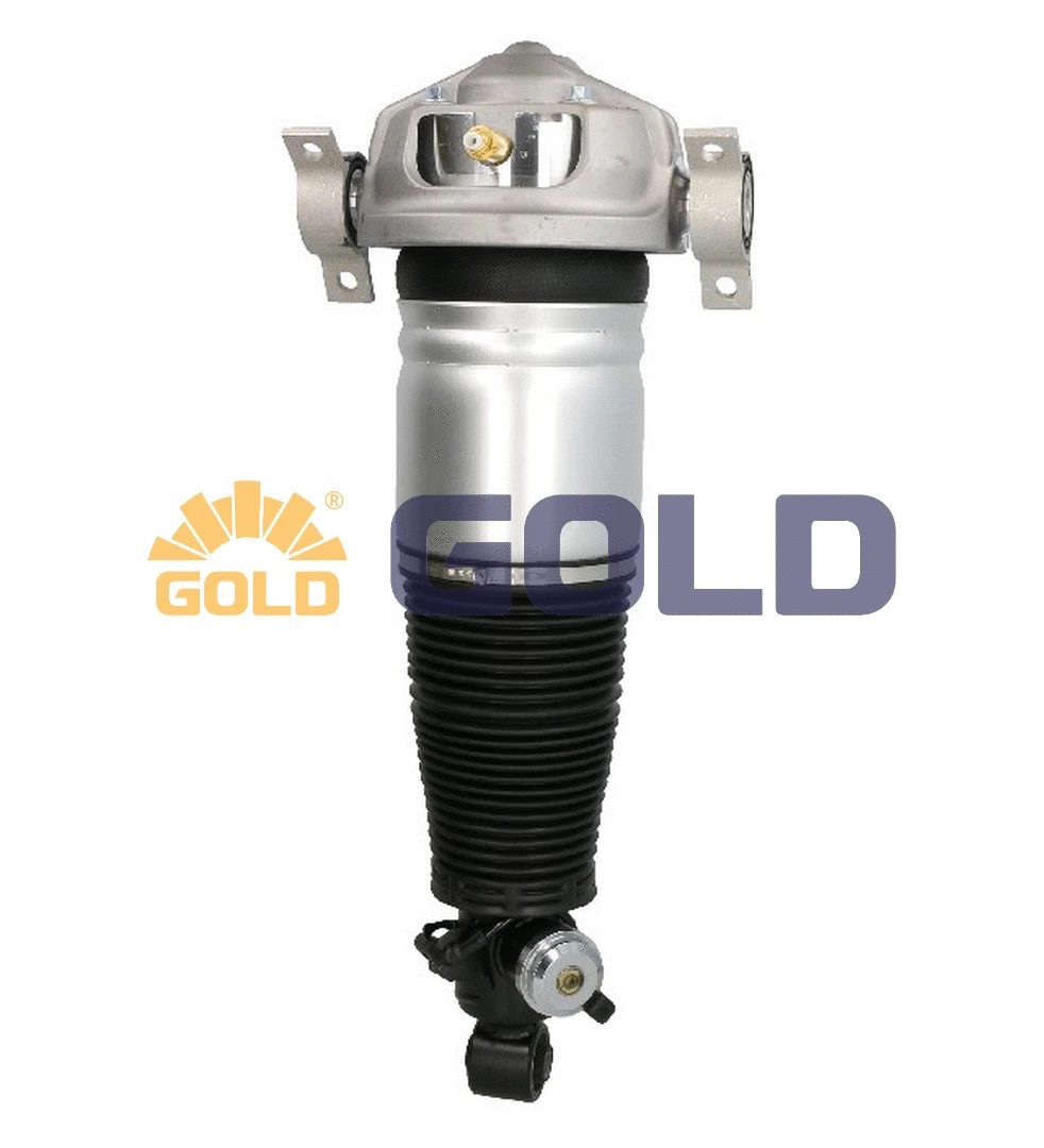 Air Suspension Strut (6160222)