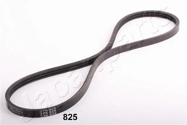V-Ribbed Belt (TV-825)