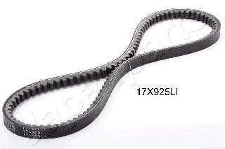 V-Belt (DT-17X925LI)