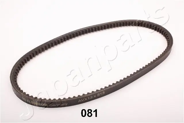 V-Belt (TT-081)