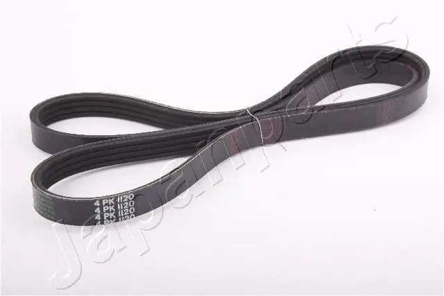 V-Ribbed Belt (TV-599)